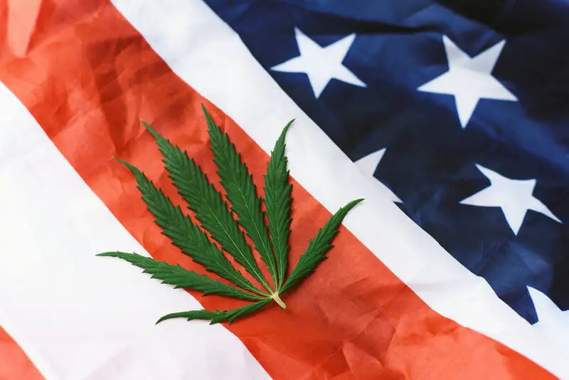 Cannabis Florida Medical Marijuana USA