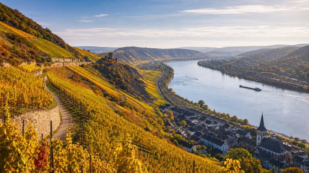 Regional Rhein Weinberge Herbst Herbstfarben Fluss Wine Romantik Landschaft